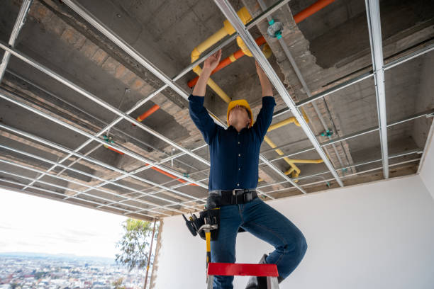 Best Plumbing Inspection Services  in Pleasant Garden, NC